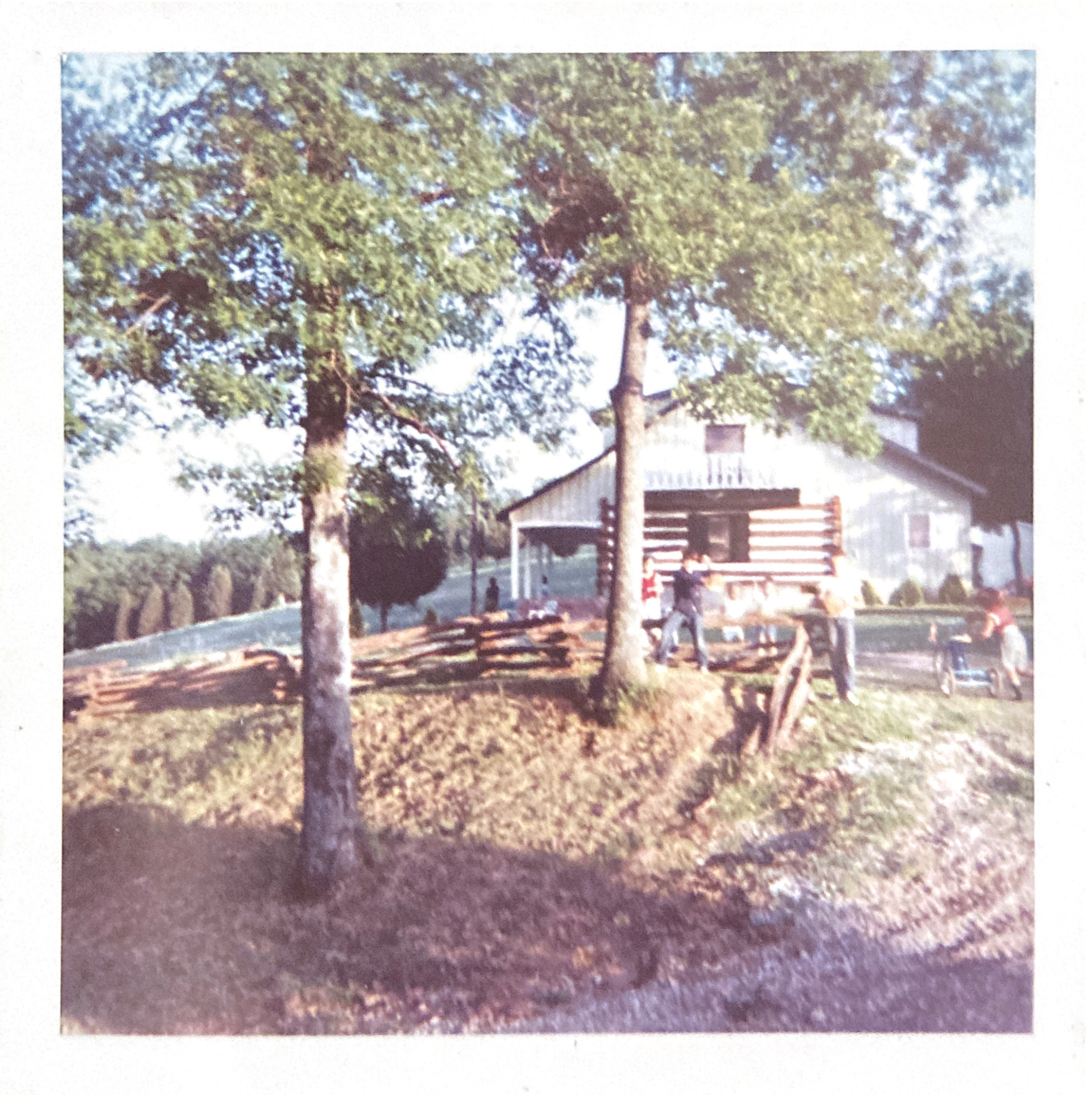 Summer 1966 — the log house when we called it Ryans’ House. In foreground from left: Mom (probablay carrying a cup of iced tea), Tom, Sue, Alan Butts (Bob and Barbara’s boy), Bill and, pushing Linda's blue tricycle, either Kathy or Linda. The two figures in background near front porch are probably bushy-haired Bob on the left and Barbara on the right (between two porch posts). This was probably an evening when the Beavers took a walk across the yard to visit the Ryans.