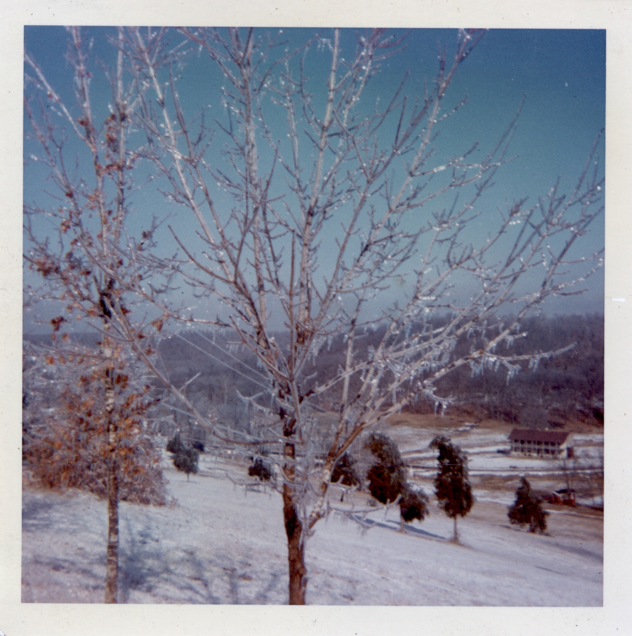 Ice storm! It was probably Dad who took this picture. Looking towards the valley from Leo Trudell’s A-frame.